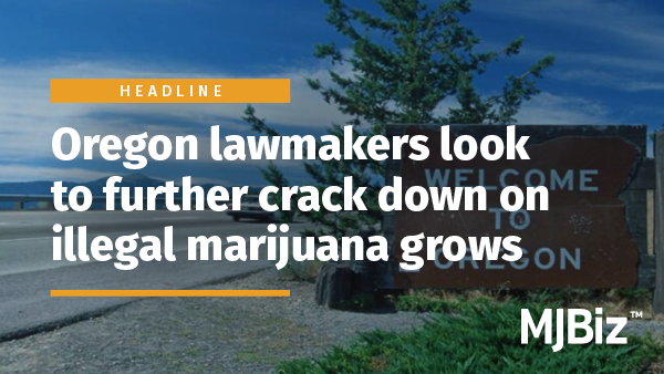 oregon-lawmakers-look-to-further-crack-down-on-illegal-marijuana-grows