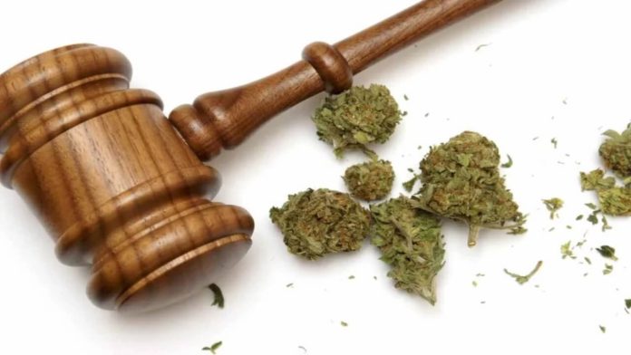 struggling-cannabis-companies-turn-to-canadian-insolvency-law
