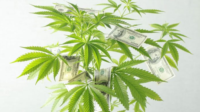 mississippi’s-medical-cannabis-sales-eclipse-$4.4-million-in-july
