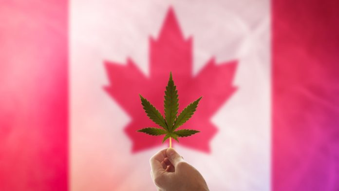 smitherman-steps-down-from-canadian-cannabis-lobby-group