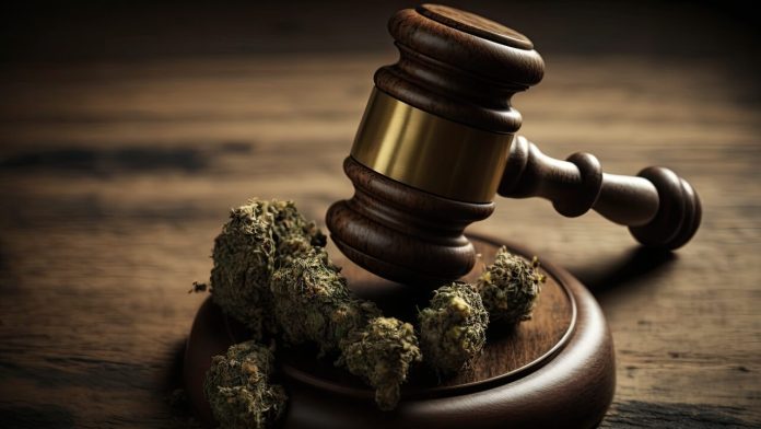 marijuana-doesn’t-enjoy-free-trade-protections,-new-york-judge-rules